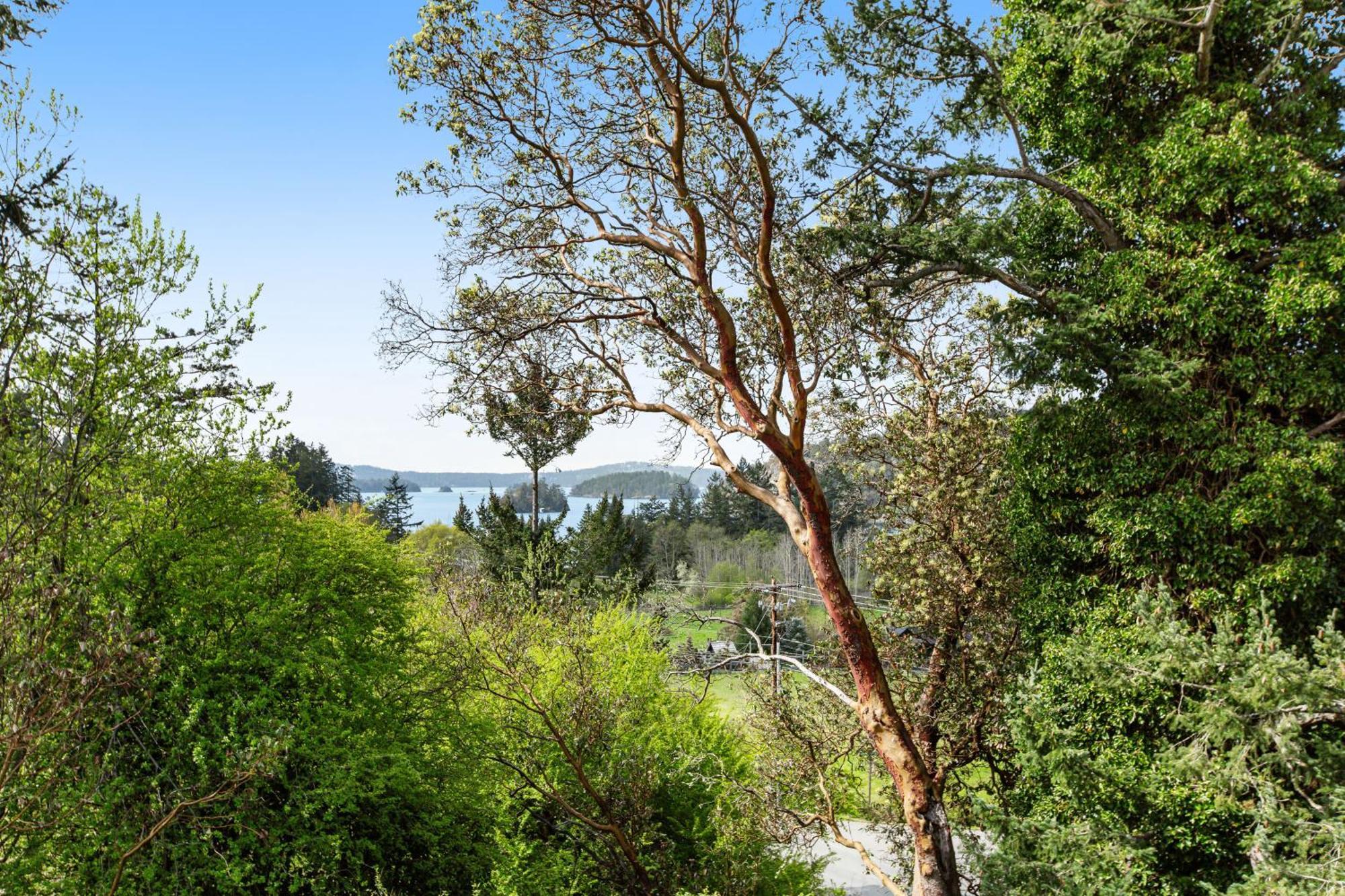Deer Harbor Cottages 客房 照片